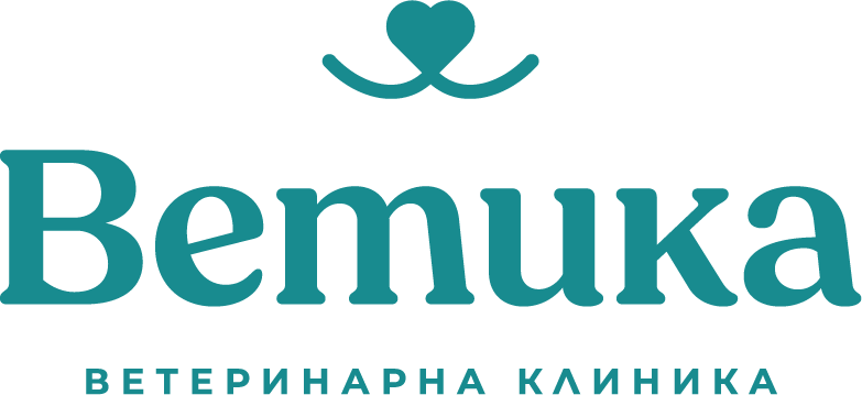 Vetika